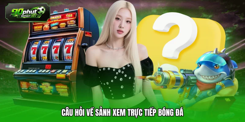 Câu hỏi về sảnh xem trực tiếp bóng đá