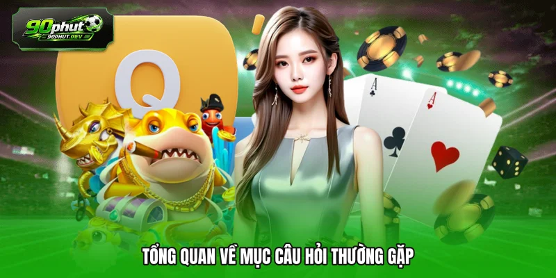 Tổng quan về mục câu hỏi thường gặp